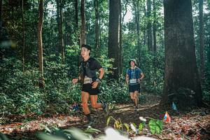 BIB: 
                            <button type="button" onclick="openModal(26077015)" class="btn btn-primary btn-sm float-right btn-popup" data-toggle="modal" data-target=".modal-high-quality">
                        <i class="fas fa-shopping-cart"></i> Add to Cart
                    </button>
                                            <button type="button" onclick="isThisMe(26077015, true)" class="btn btn-success btn-sm float-right btn-popup btn-isme hidden" data-toggle="tooltip" data-placement="bottom" title="นี่คือรูปของคุณใช่ไหม คลิกที่นี่เพื่อเอาเข้าอัลบั้ม">
                        <i class="fas fa-plus"></i> Add to album
                    </button>
                    <button type="button" onclick="isThisMe(26077015, false)" class="btn btn-warning btn-sm float-right btn-popup btn-isnotme hidden">
                        <i class="fas fa-ban"></i> Remove from album
                    </button>